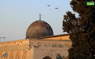 Fat man willing to lose weight for Palestine